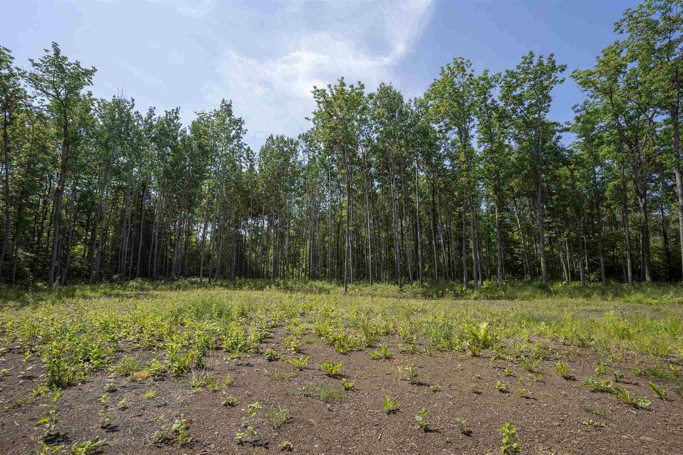 John St. Road, Oliver Paipoonge, ON