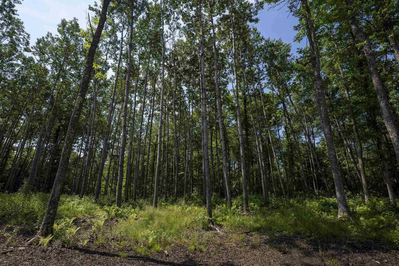 John St. Road, Oliver Paipoonge, ON