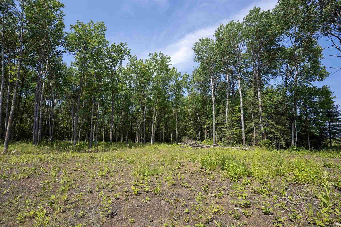 John St. Road, Oliver Paipoonge, ON