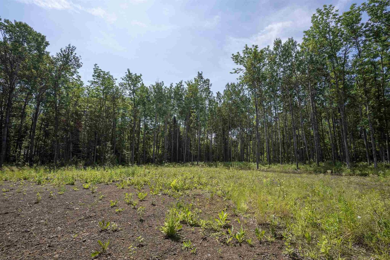 John St. Road, Oliver Paipoonge, ON