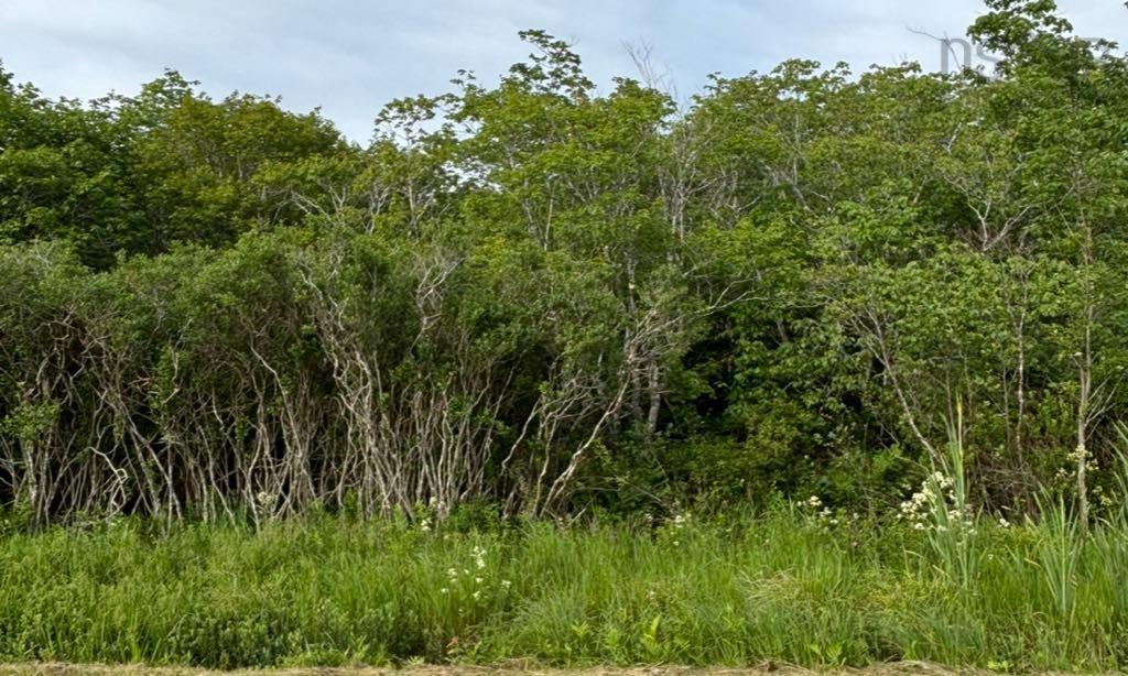 Highway 1, Church Point, NS