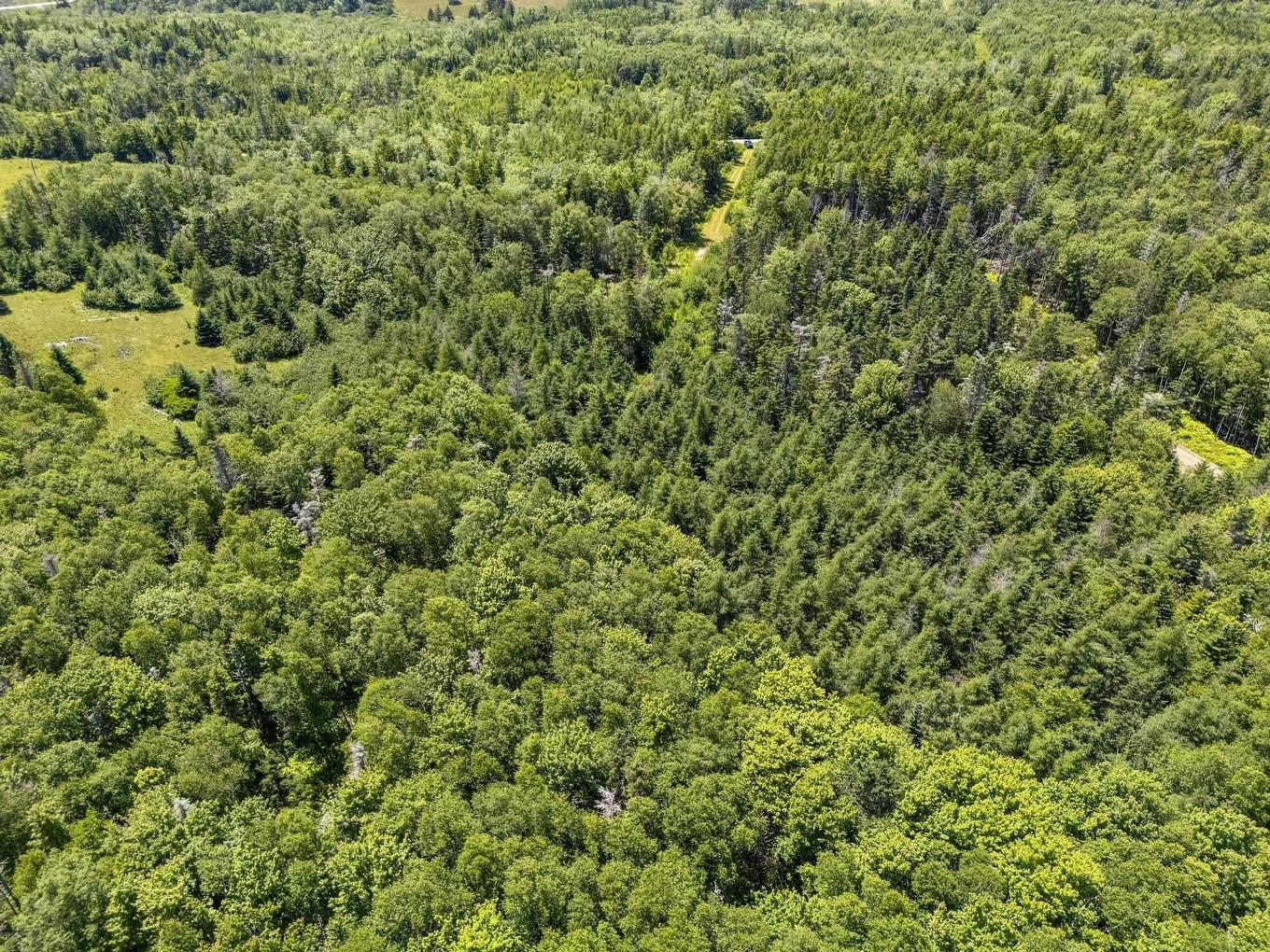 14 Killiam Forest Road, Ireton, NS