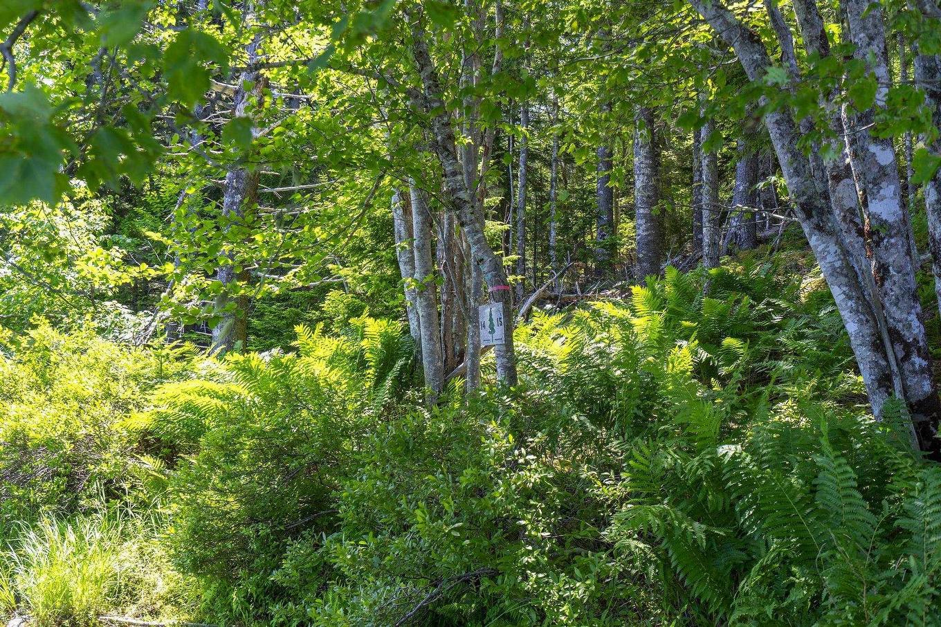 14 Killiam Forest Road, Ireton, NS