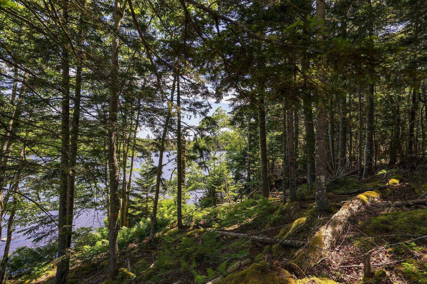 14 Killiam Forest Road, Ireton, NS