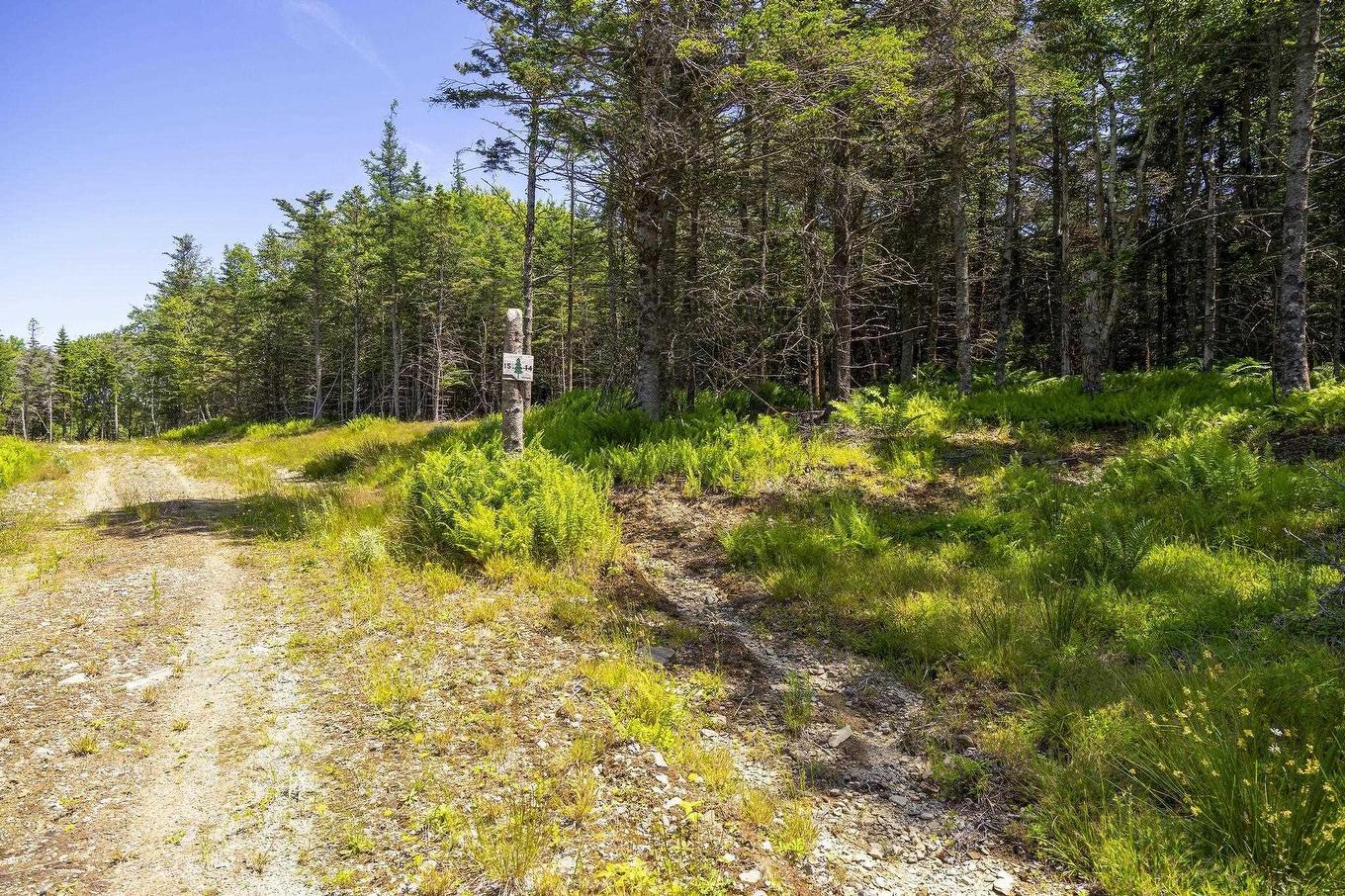 14 Killiam Forest Road, Ireton, NS