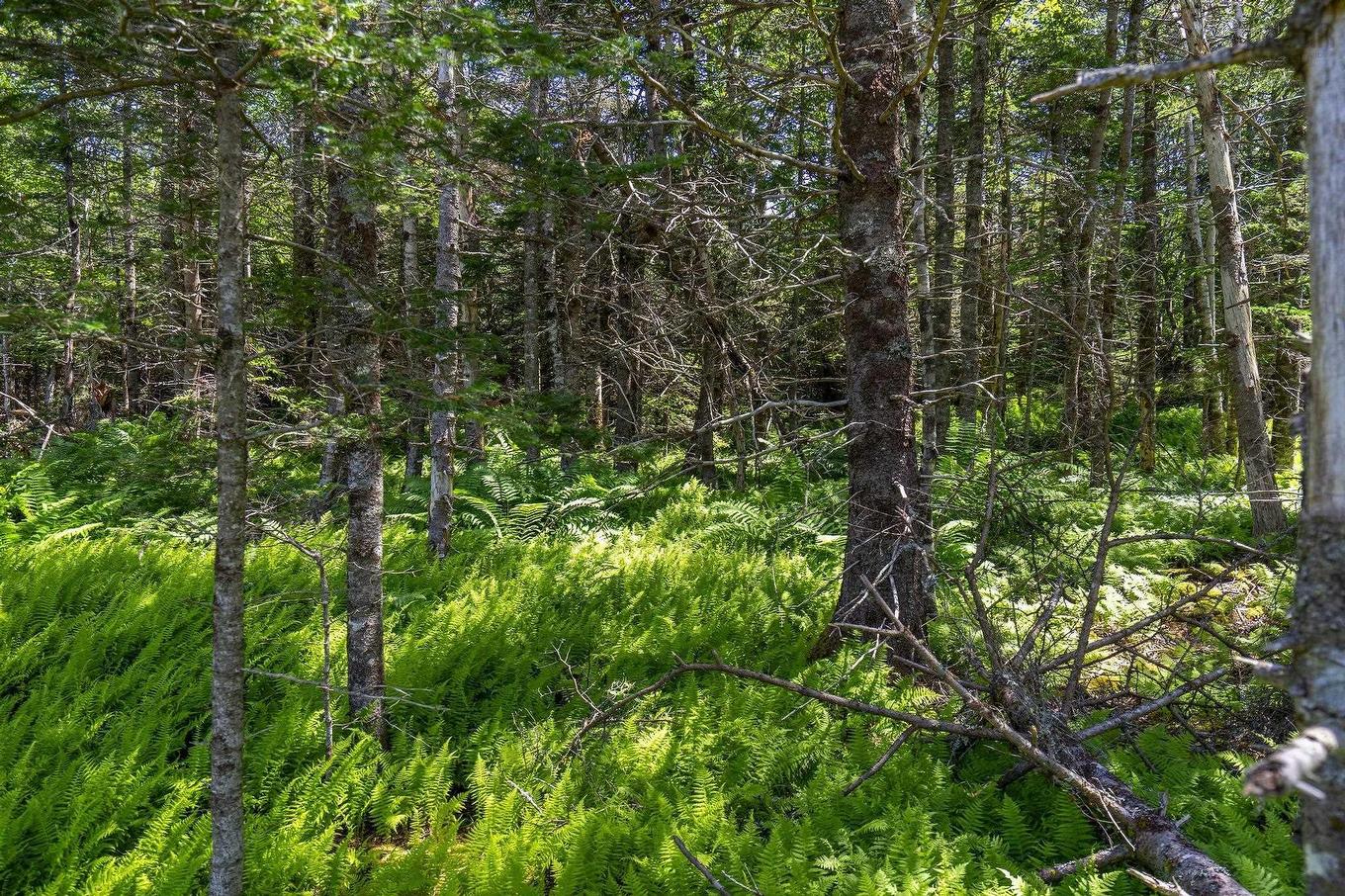 14 Killiam Forest Road, Ireton, NS