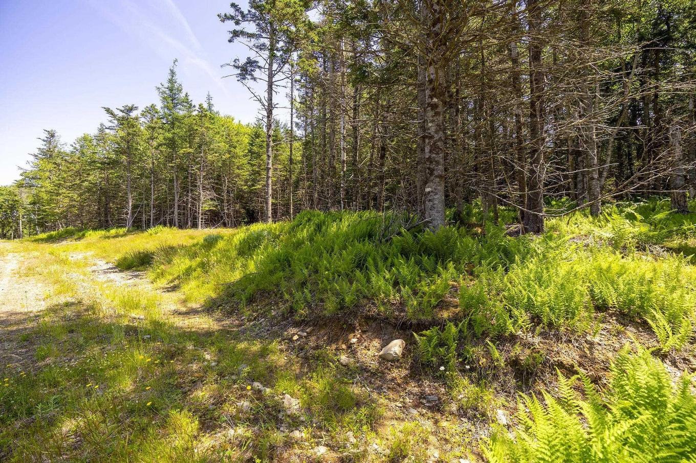 14 Killiam Forest Road, Ireton, NS