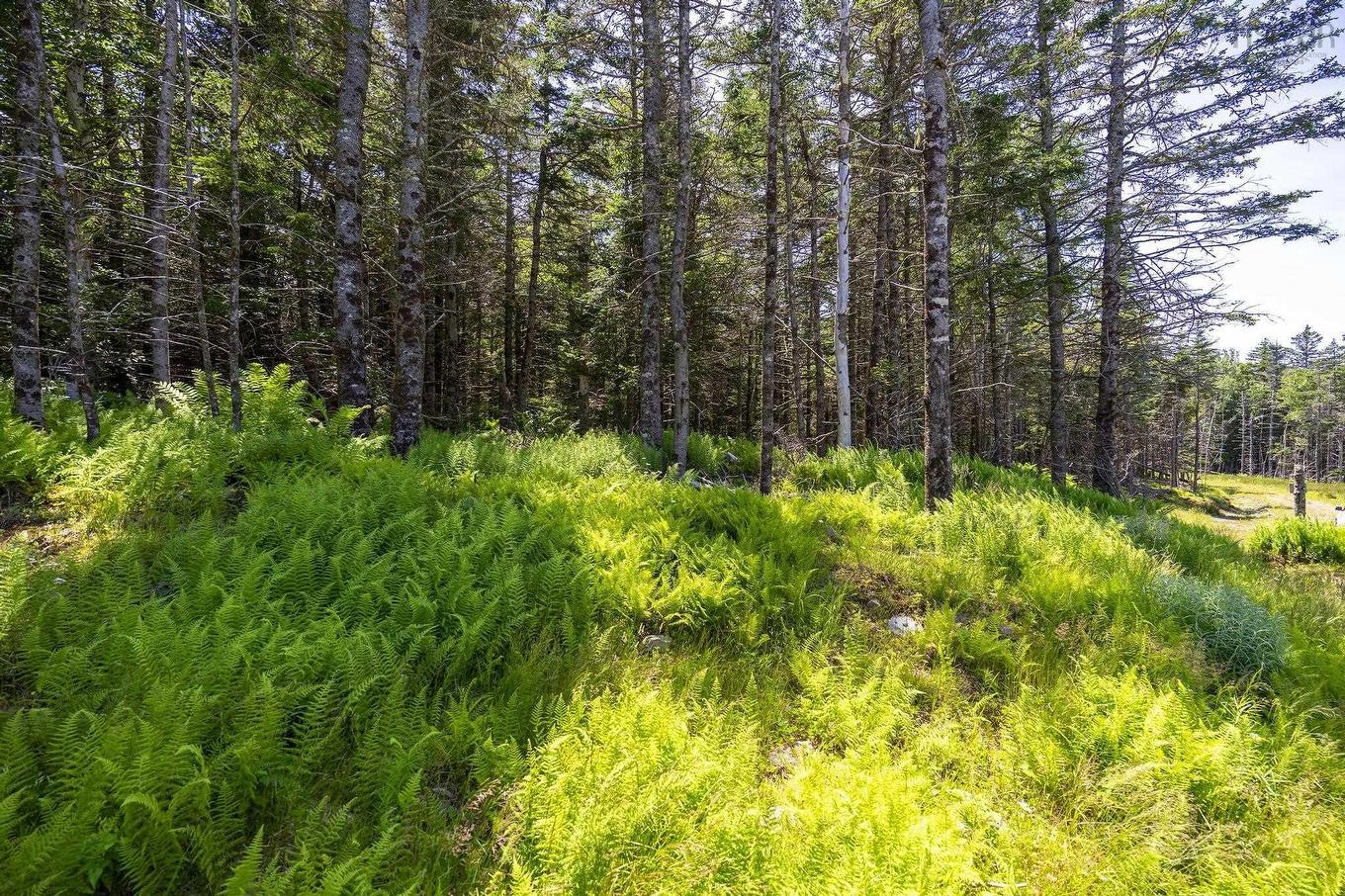 14 Killiam Forest Road, Ireton, NS