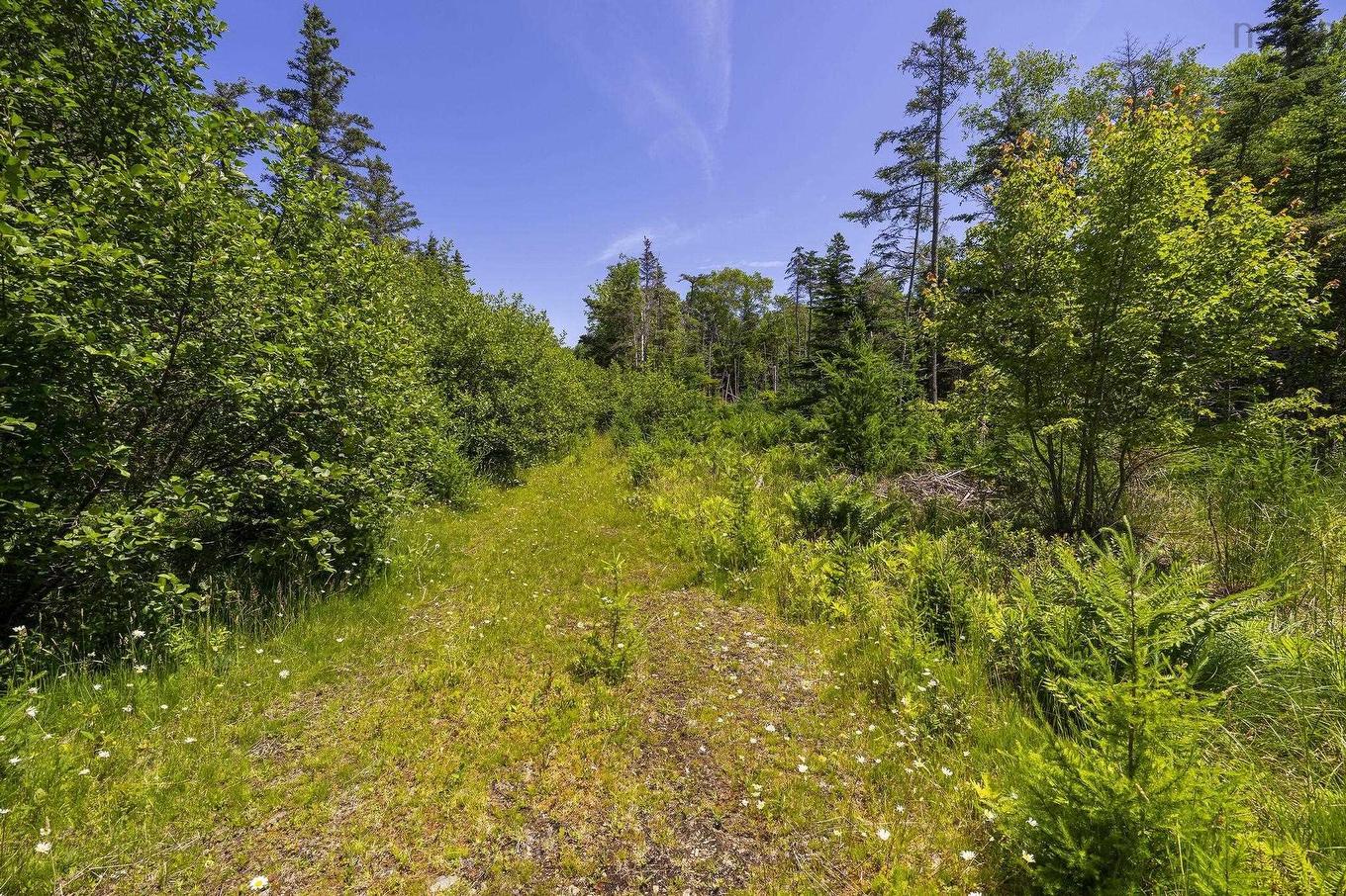 14 Killiam Forest Road, Ireton, NS