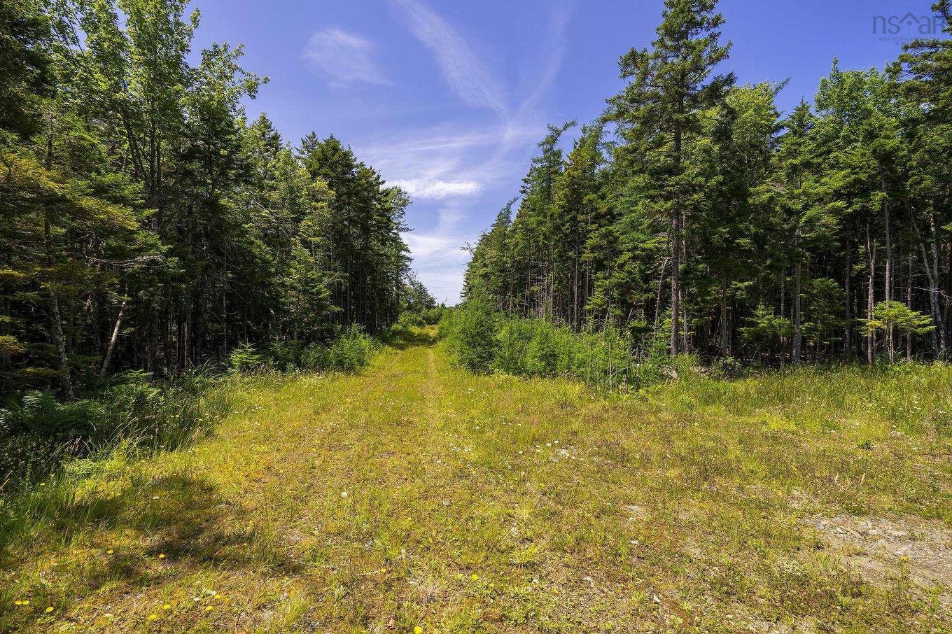 14 Killiam Forest Road, Ireton, NS