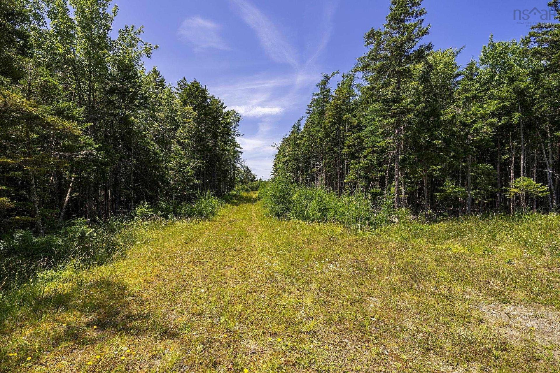 14 Killiam Forest Road, Ireton, NS