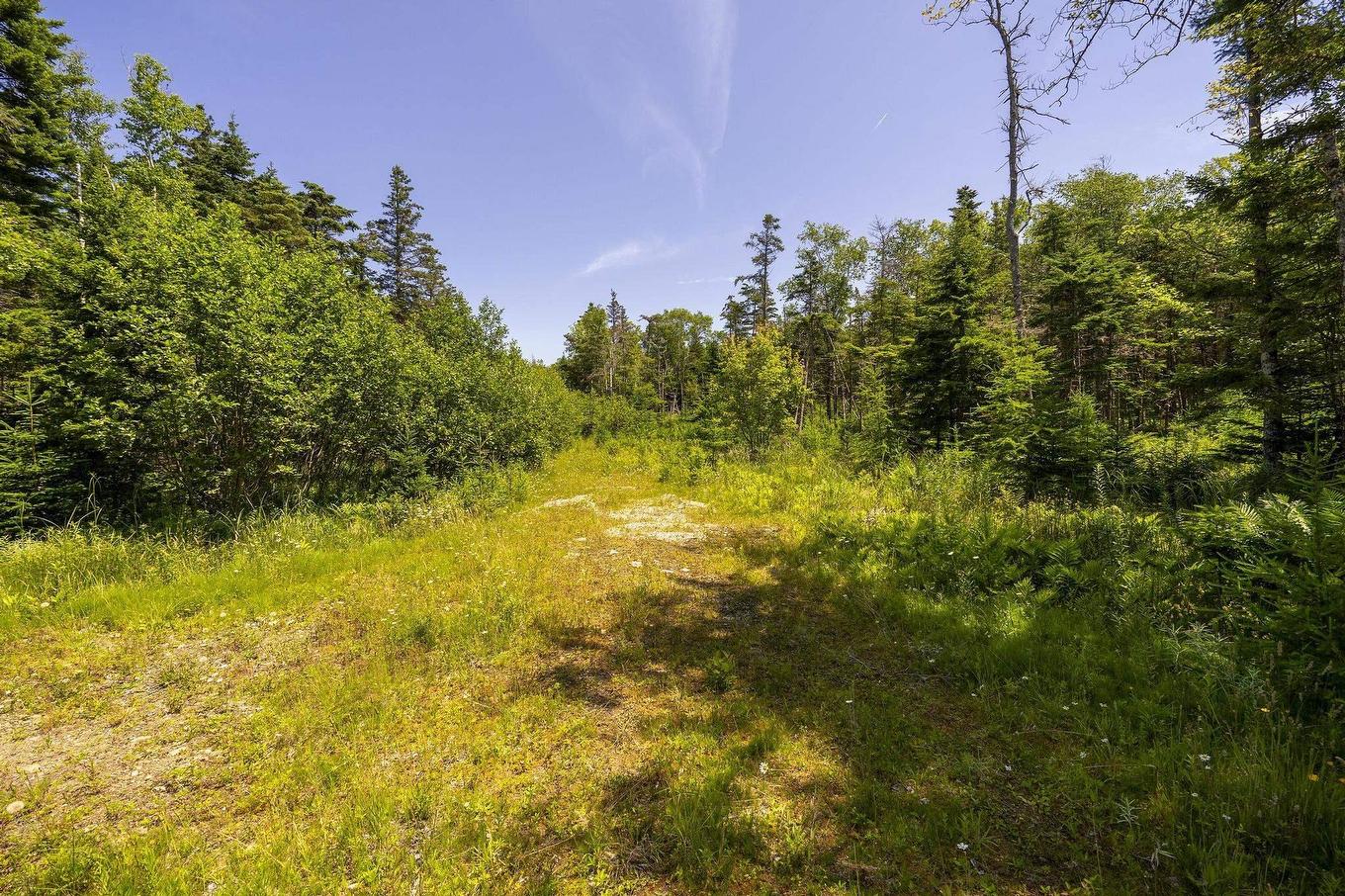 14 Killiam Forest Road, Ireton, NS