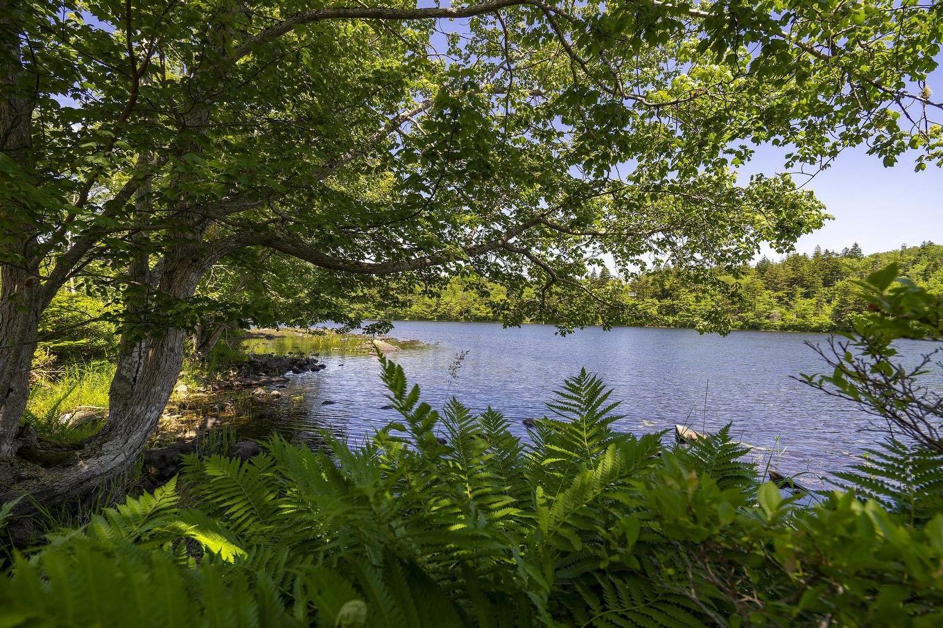 14 Killiam Forest Road, Ireton, NS