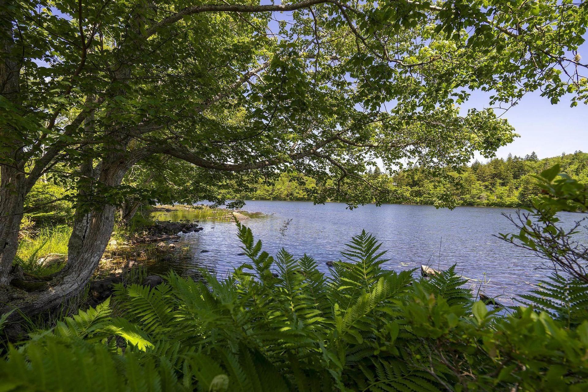 14 Killiam Forest Road, Ireton, NS