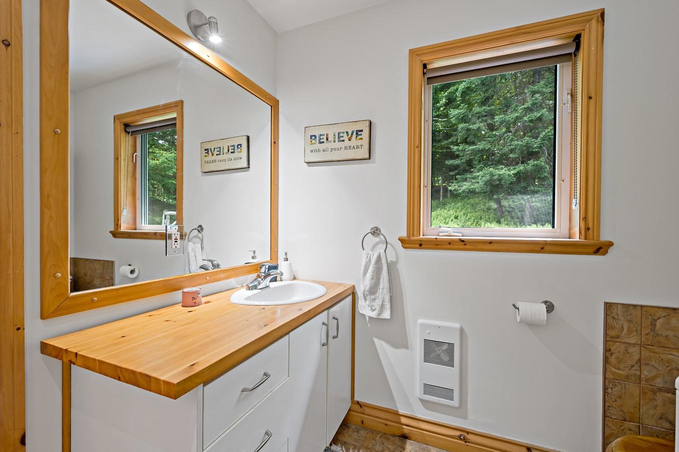 Powder room - 412 Ch. Du Lac-Mercier, Mont-Tremblant, QC - Indoor Photo Showing Bathroom