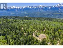 1155 Golden Donald Upper Road Golden, BC V0A 1H1