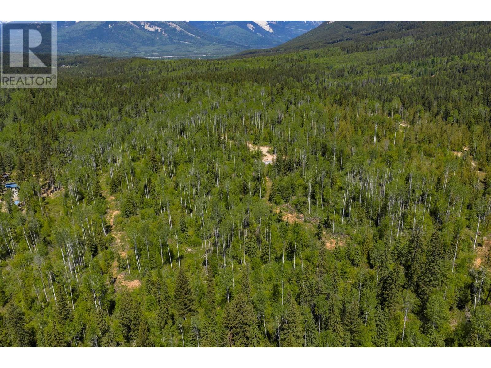 1155 Golden Donald Upper Road, Golden, BC