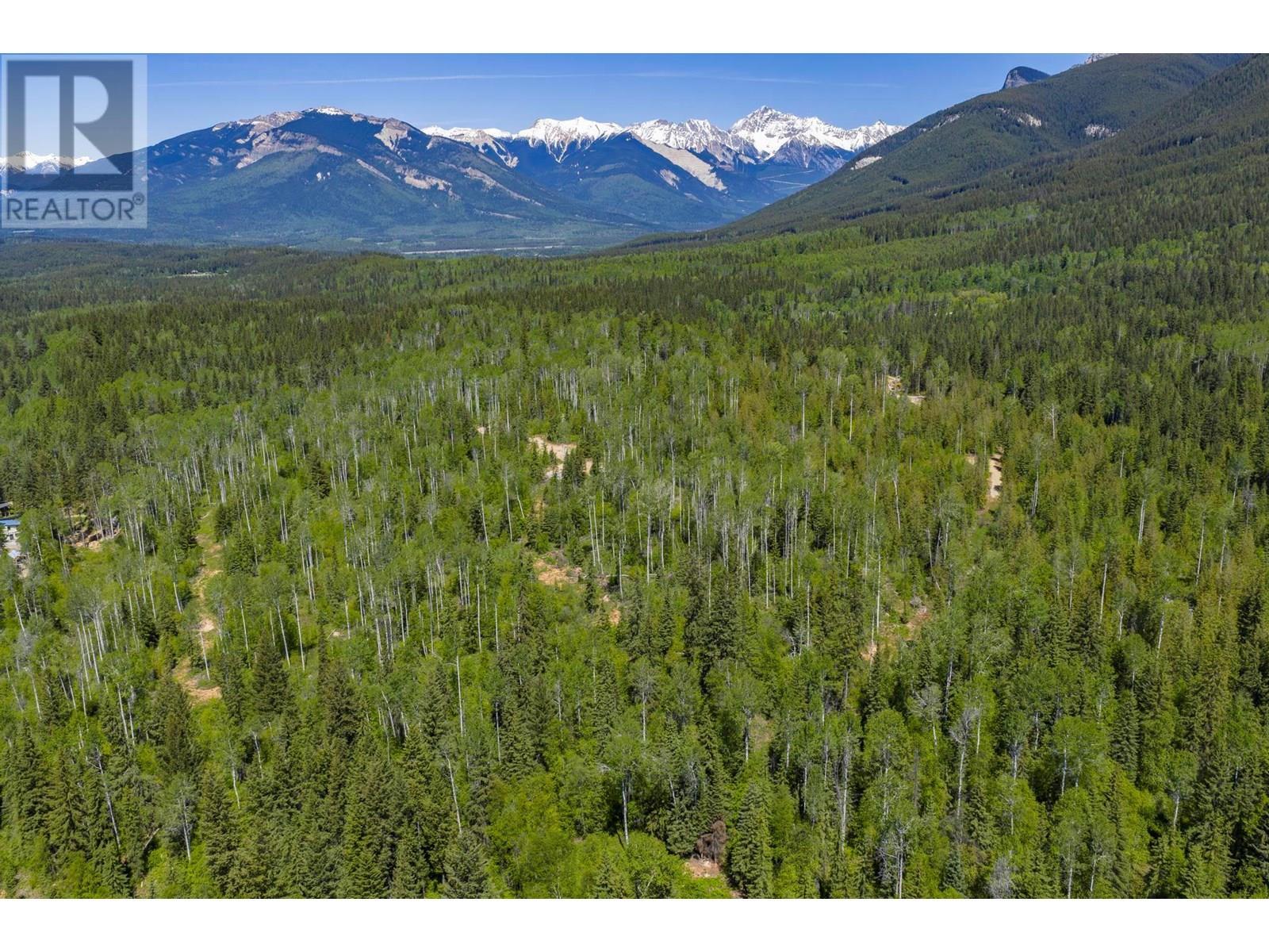 1155 Golden Donald Upper Road, Golden, BC