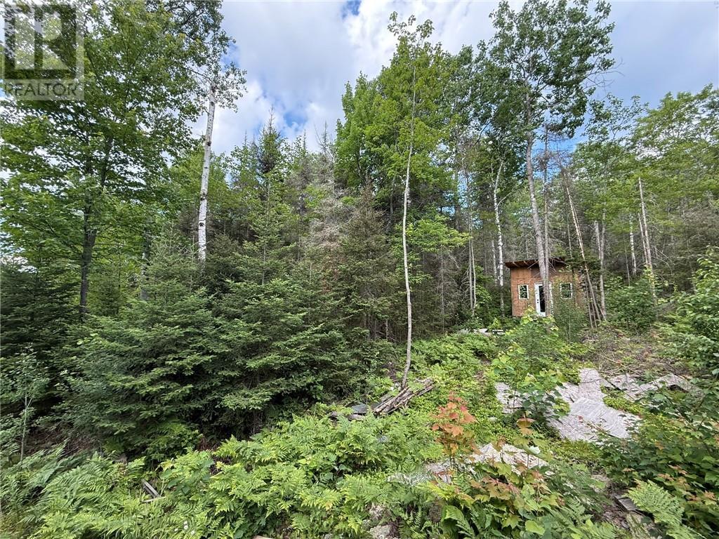 181 Grassy Lake Road, Whitefish, ON