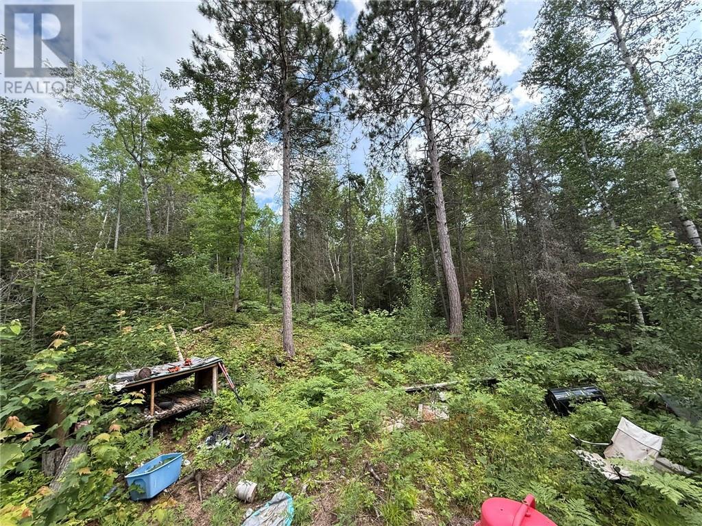 181 Grassy Lake Road, Whitefish, ON