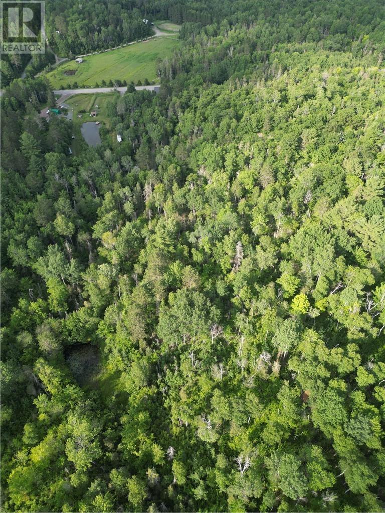 181 Grassy Lake Road, Whitefish, ON