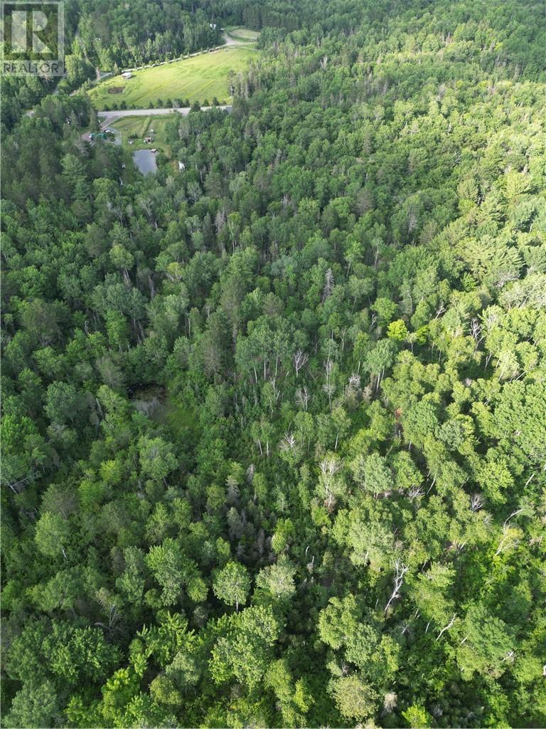 181 Grassy Lake Road, Whitefish, ON