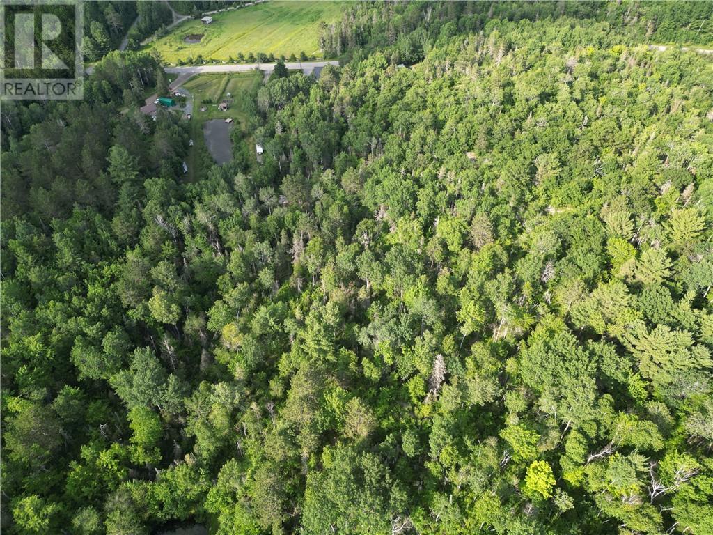 181 Grassy Lake Road, Whitefish, ON