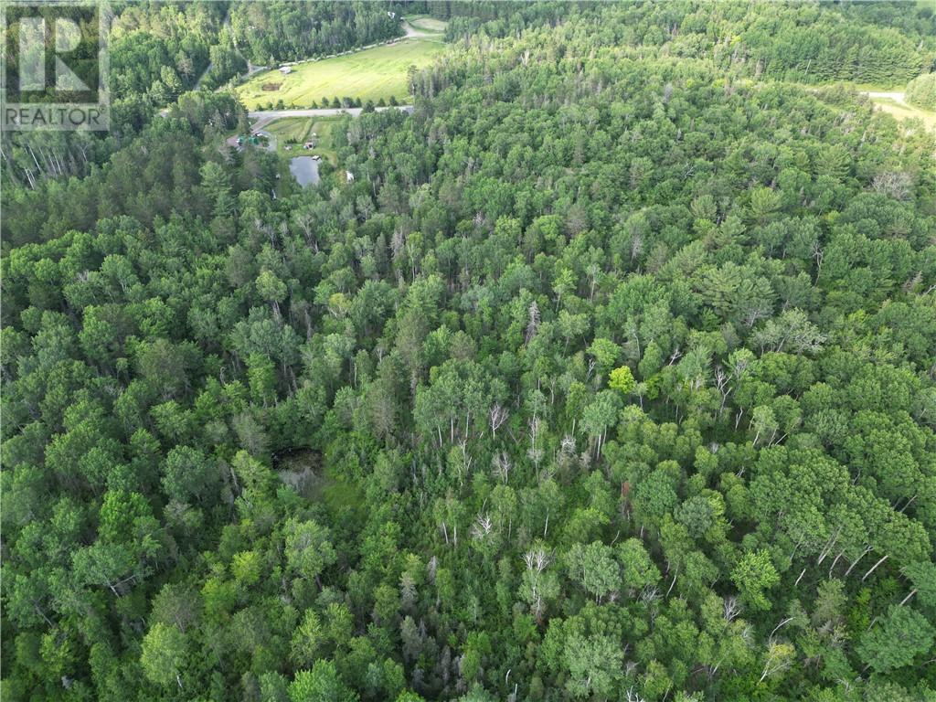 181 Grassy Lake Road, Whitefish, ON