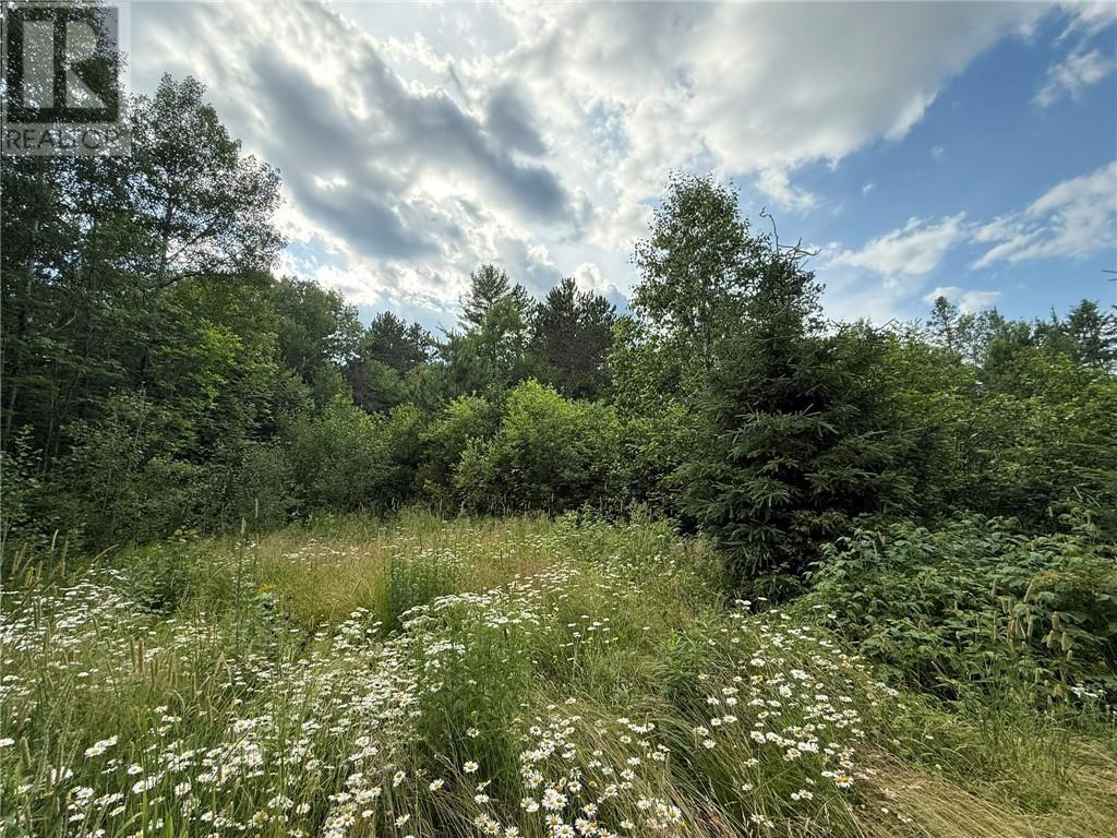 181 Grassy Lake Road, Whitefish, ON