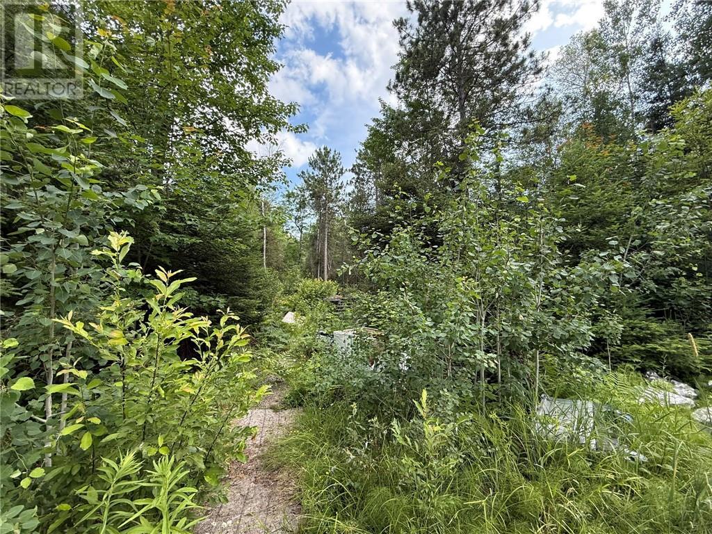 181 Grassy Lake Road, Whitefish, ON