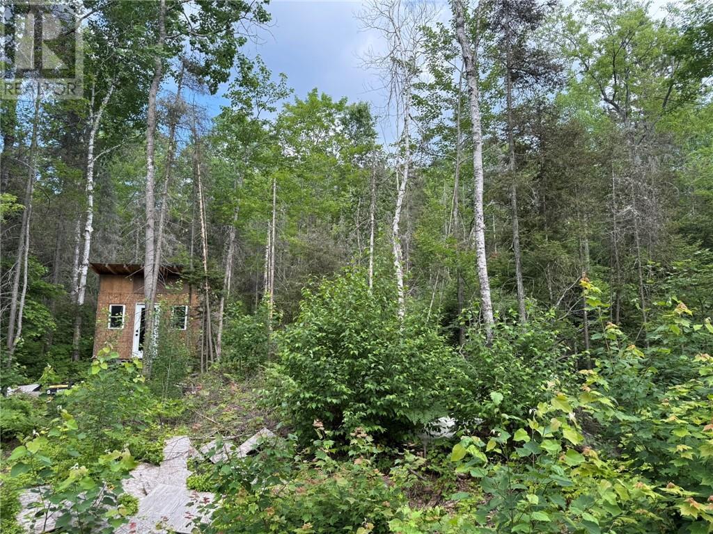 181 Grassy Lake Road, Whitefish, ON
