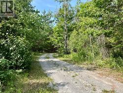 Hard packed gravel driveway -