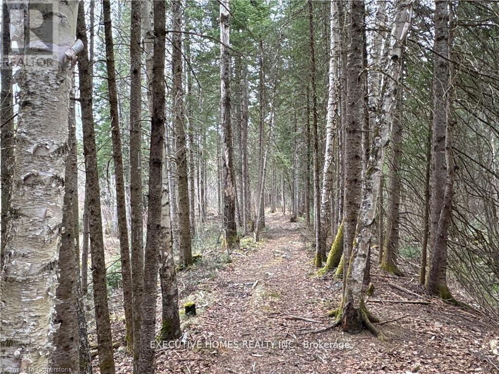 1014 Bulrush Trail, Highlands East, ON