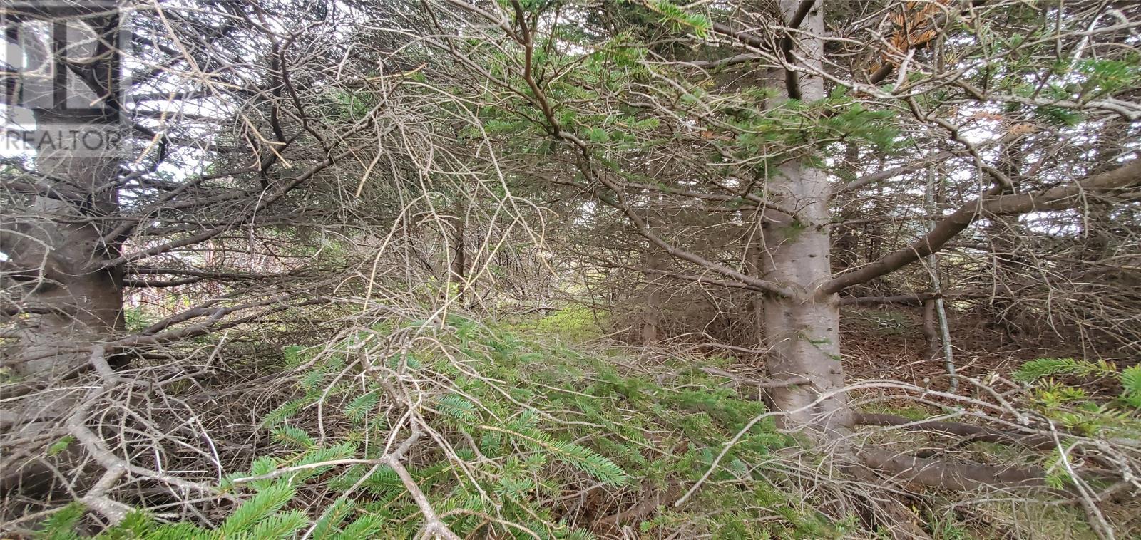 15 Bayview Street, Marystown, NL