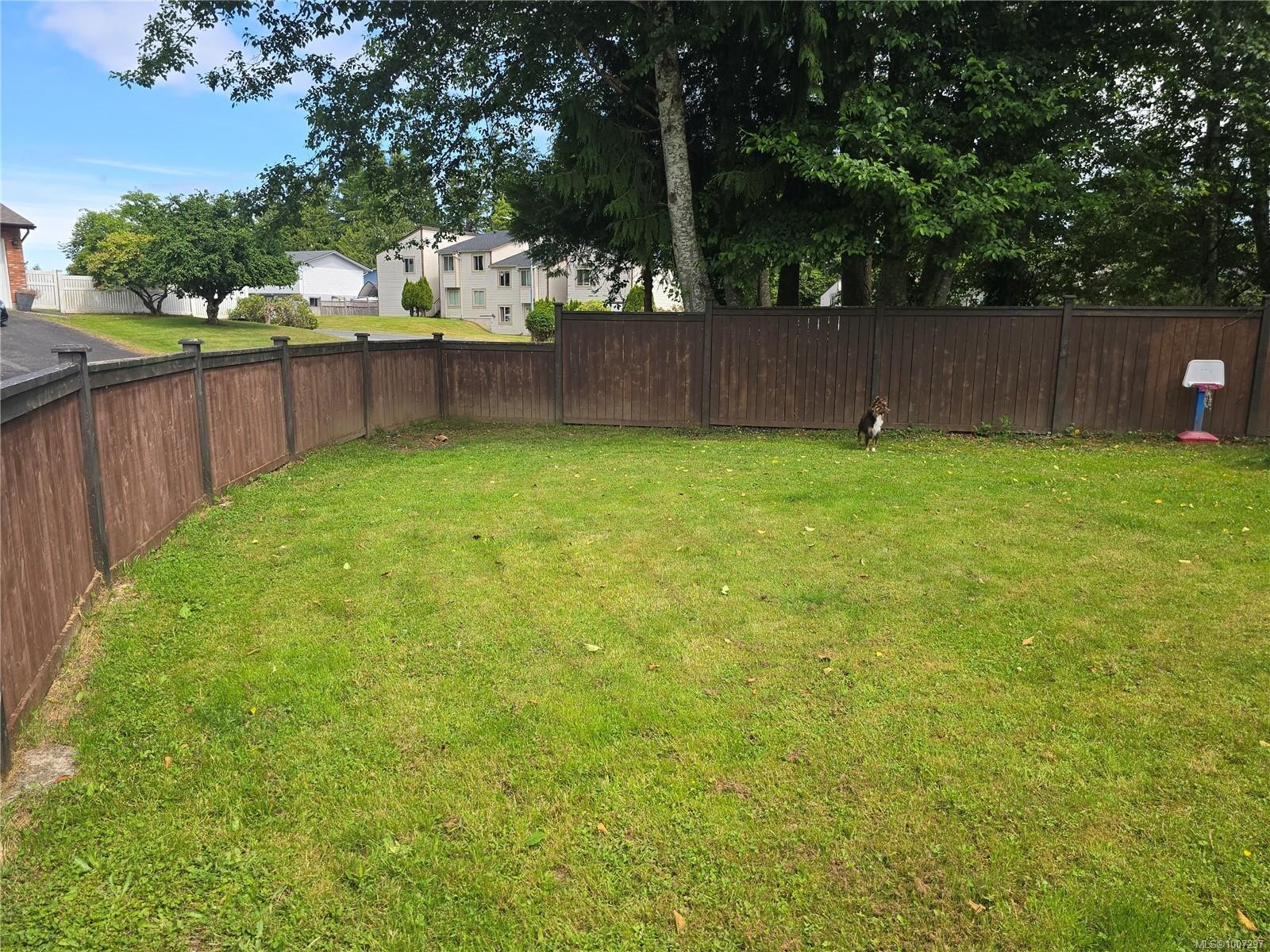 A-9477 Scott St, Port Hardy, BC - Outdoor