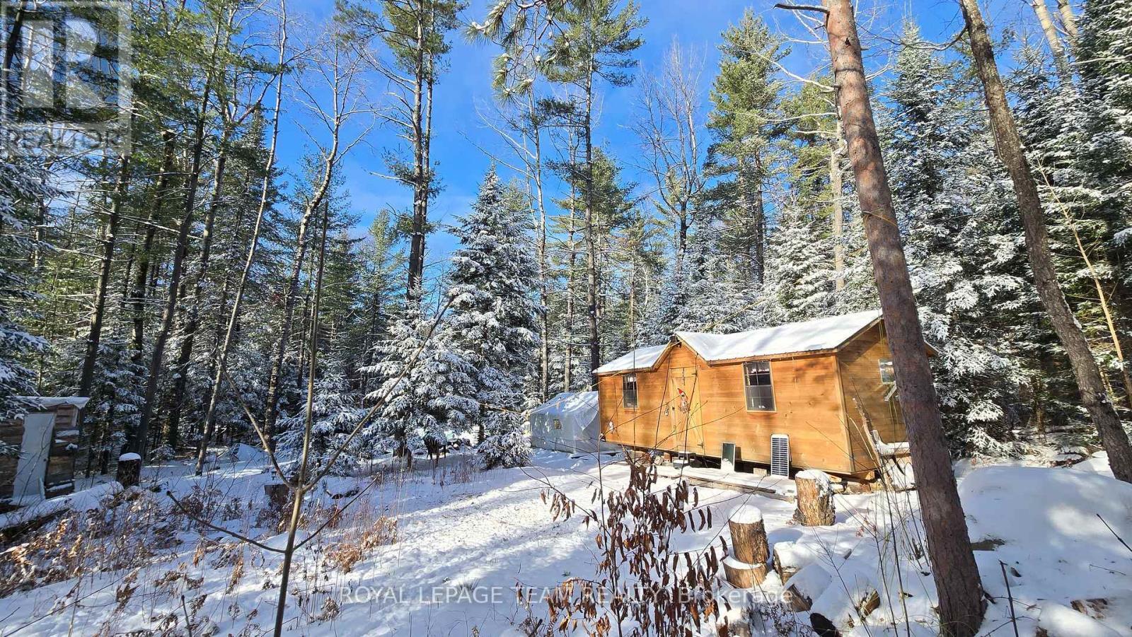 Off-grid cabin - 00 Highway 41 Highway, Bonnechere Valley, ON