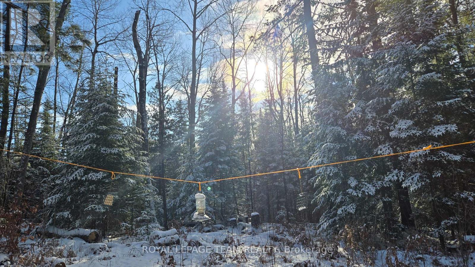 Wake up to sunshine. - 00 Highway 41 Highway, Bonnechere Valley, ON