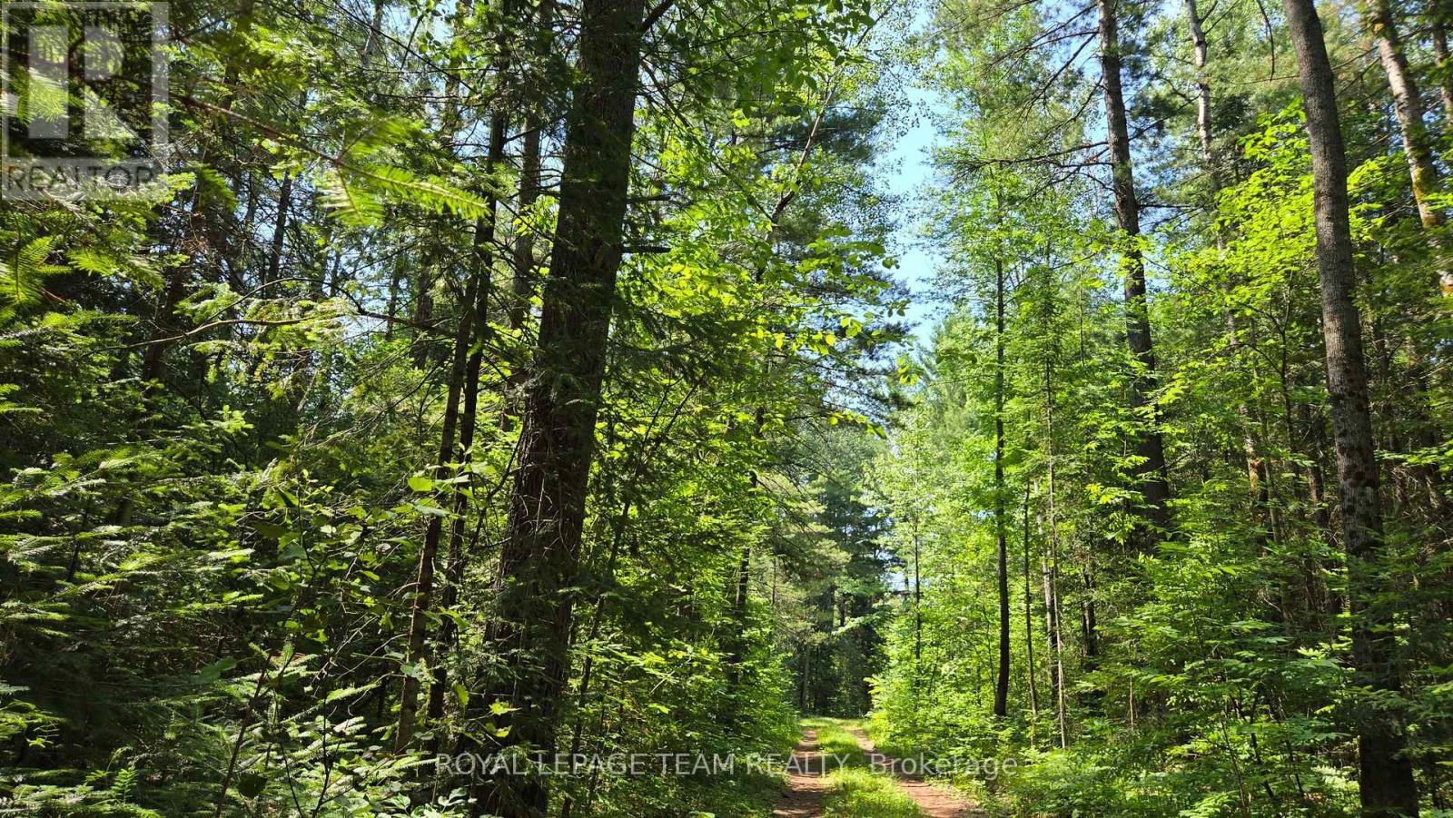 Road/driveway - 00 Highway 41 Highway, Bonnechere Valley, ON