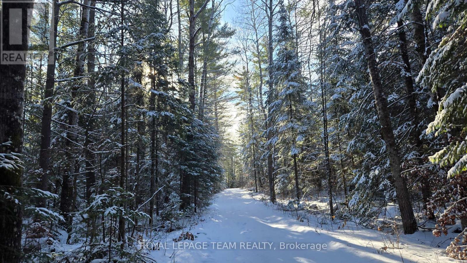 Road/driveway - 00 Highway 41 Highway, Bonnechere Valley, ON