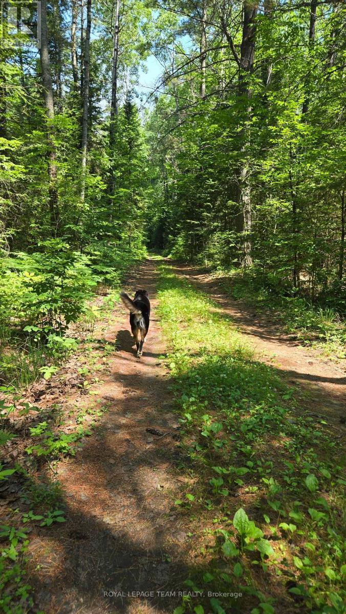 Let's go see - 00 Highway 41 Highway, Bonnechere Valley, ON