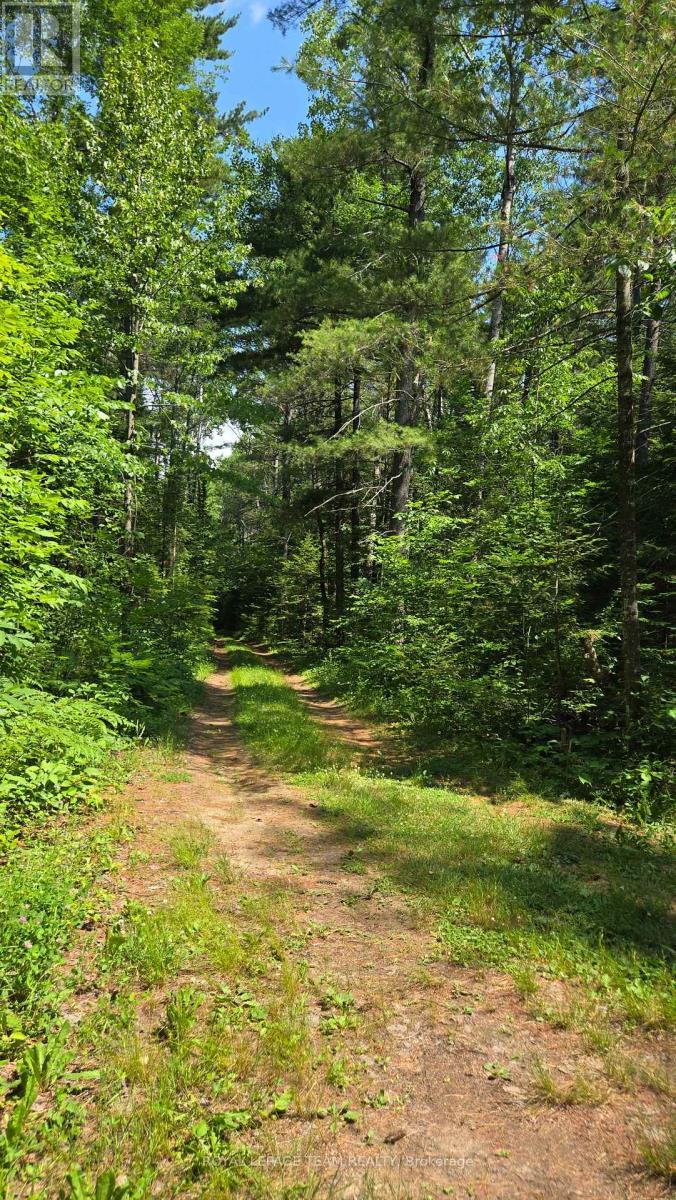 00 Highway 41 Highway, Bonnechere Valley, ON