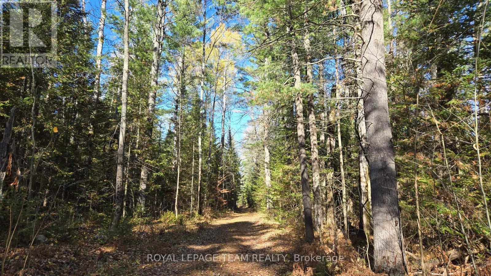 00 Highway 41 Highway, Bonnechere Valley, ON