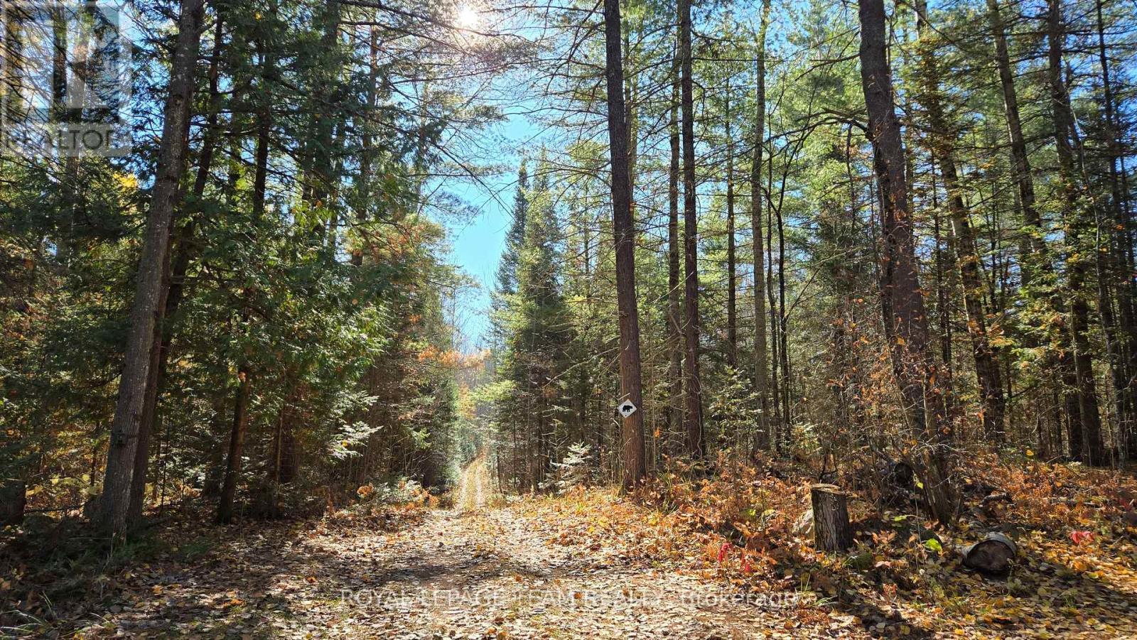 00 Highway 41 Highway, Bonnechere Valley, ON