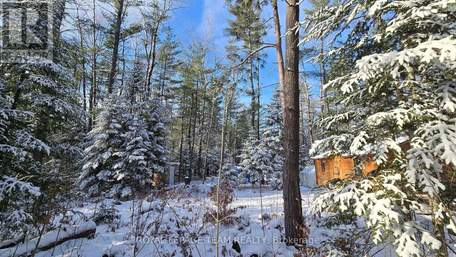 00 Highway 41 Highway, Bonnechere Valley, ON