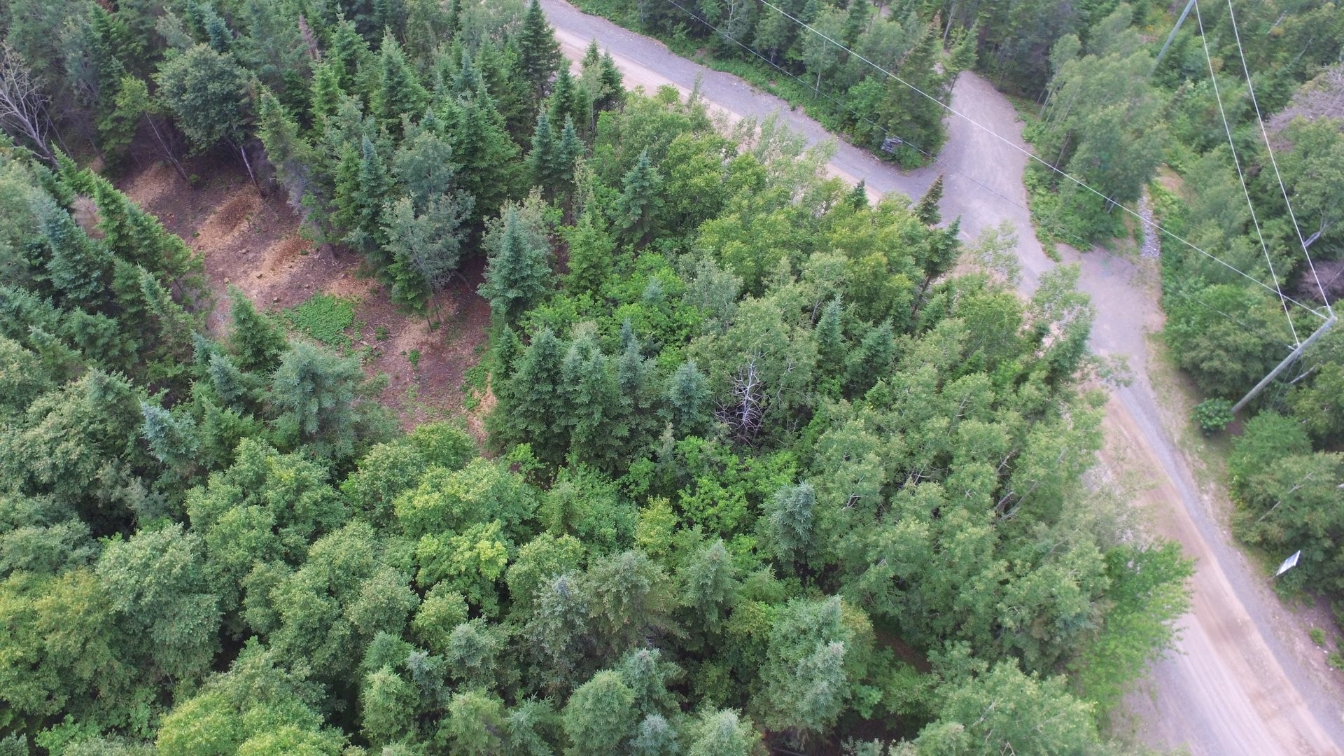 Photo aérienne - 142 Ch. De La Cédrière, Rivière-Ouelle, QC