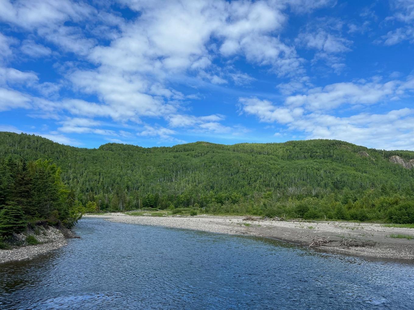 Bord de l'eau - Rang Est Rivière Ste-Anne, Sainte-Anne-Des-Monts, QC