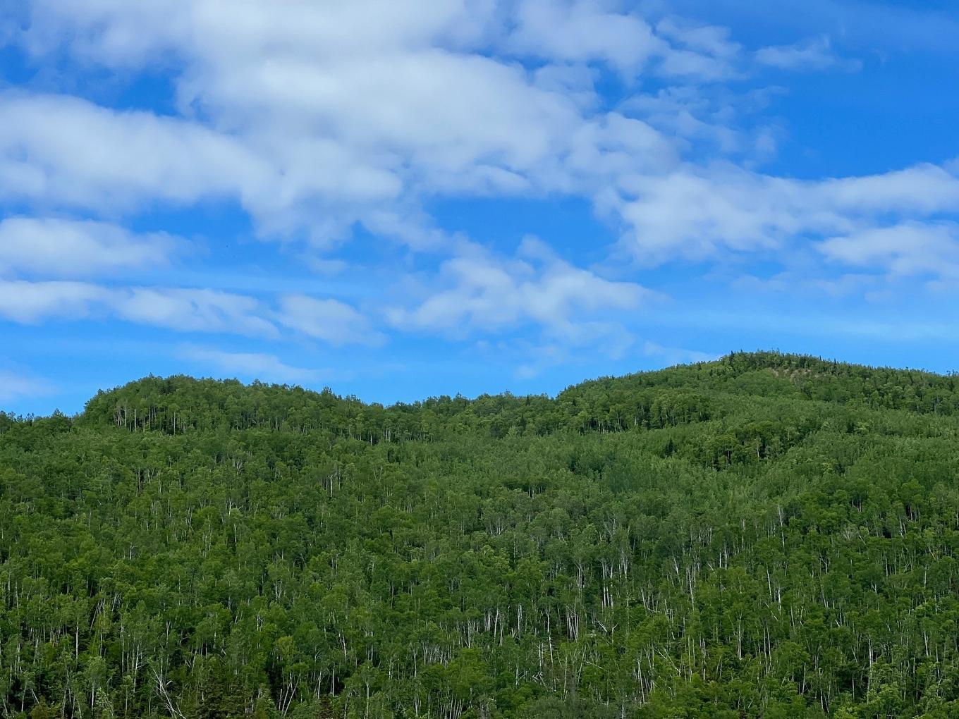 Terre/Terrain - Rang Est Rivière Ste-Anne, Sainte-Anne-Des-Monts, QC