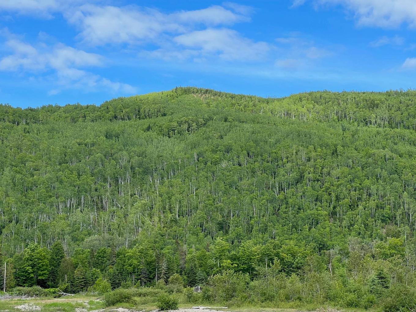 Bord de l'eau - Rang Est Rivière Ste-Anne, Sainte-Anne-Des-Monts, QC