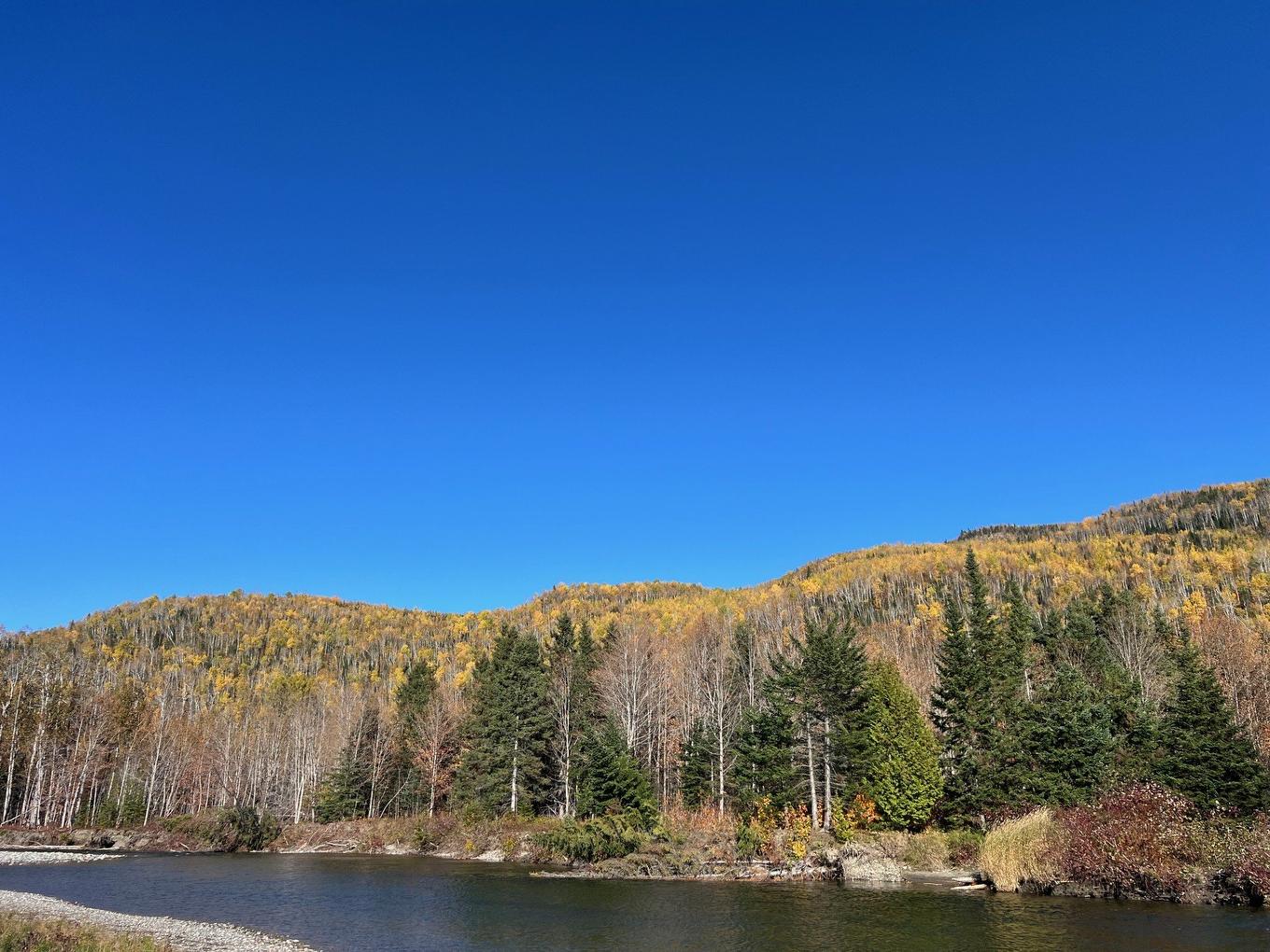 Terre/Terrain - Rang Est Rivière Ste-Anne, Sainte-Anne-Des-Monts, QC