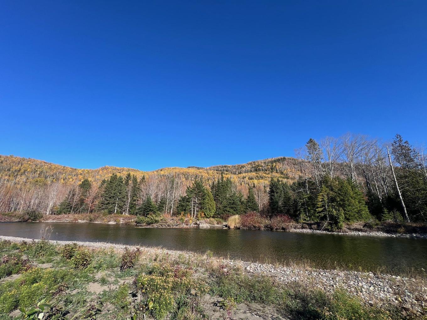 Terre/Terrain - Rang Est Rivière Ste-Anne, Sainte-Anne-Des-Monts, QC